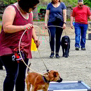 review_bootcamp_3